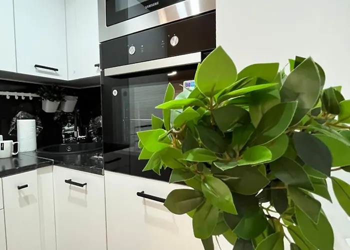 New Charm Near Border Apartment